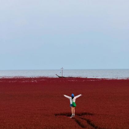 沈阳+盘锦红海滩国家风景廊道+丹东+长白山+牡丹江镜泊湖风景区+呼伦贝尔+漠河+北极村+五大连池+哈尔滨15日14晚跟团游 沈阳+盘锦红海滩国家风景廊道+丹东+长白山+牡丹江镜泊湖风景区+呼伦贝尔+漠河+北极村+五大连池+哈尔滨15日14晚跟团游