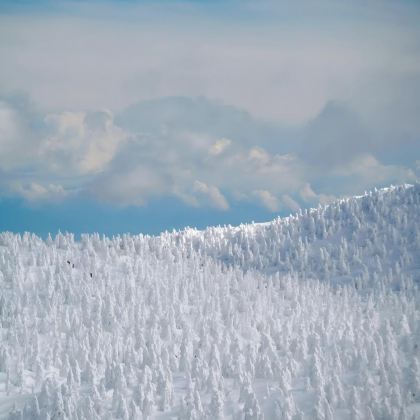 日本山形+秋田+青森+藏王温泉滑雪场+十和田湖+奥入濑溪流10日9晚自由行 日本山形+秋田+青森+藏王温泉滑雪场+十和田湖+奥入濑溪流10日9晚自由行