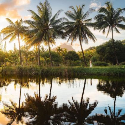 马达加斯加+毛里求斯13日12晚私家团 马达加斯加+毛里求斯13日12晚私家团