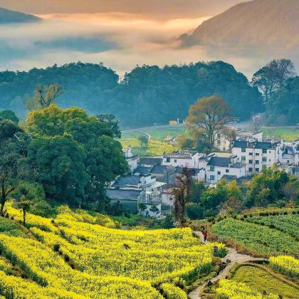 江西南昌+庐山风景名胜区+景德镇+婺源+三清山风景区+望仙谷7日6晚私家团 江西南昌+庐山风景名胜区+景德镇+婺源+三清山风景区+望仙谷7日6晚私家团