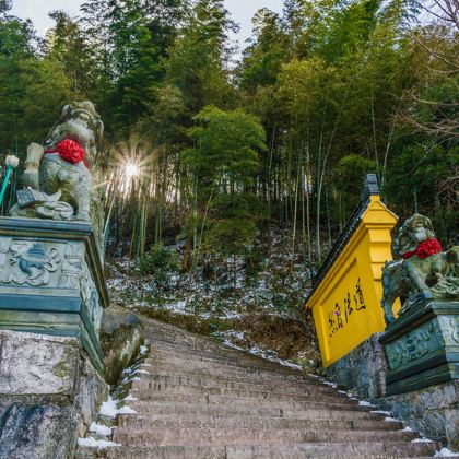 九华山大愿文化园-九华大佛+百岁宫+化城寺+肉身宝殿+天台寺(天台峰)3日2晚私家团 九华山大愿文化园-九华大佛+百岁宫+化城寺+肉身宝殿+天台寺(天台峰)3日2晚私家团
