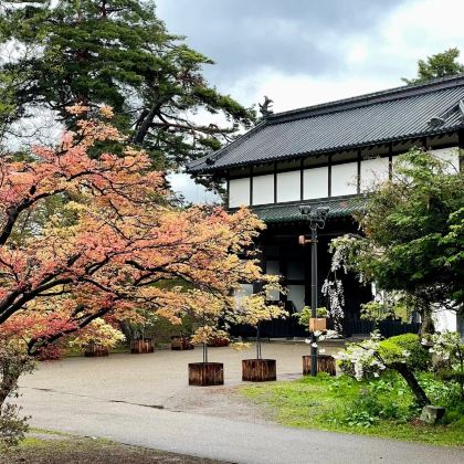 日本青森市10日9晚拼小团 日本青森市10日9晚拼小团