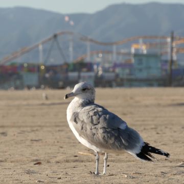 美国迈阿密6日5晚私家团 美国迈阿密6日5晚私家团
