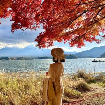 日本东京+京都+大阪8日7晚私家团 日本东京+京都+大阪8日7晚私家团