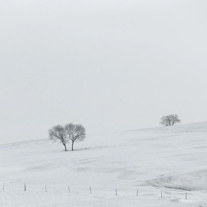 秦皇岛+北戴河+承德+乌兰布统+木兰围场+坝上5日4晚私家团 秦皇岛+北戴河+承德+乌兰布统+木兰围场+坝上5日4晚私家团
