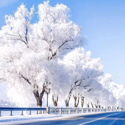 长春+长白山+延吉7日6晚私家团 长春+长白山+延吉7日6晚私家团