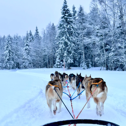 芬兰赫尔辛基+罗瓦涅米+挪威希尔克内斯8日5晚拼小团 芬兰赫尔辛基+罗瓦涅米+挪威希尔克内斯8日5晚拼小团