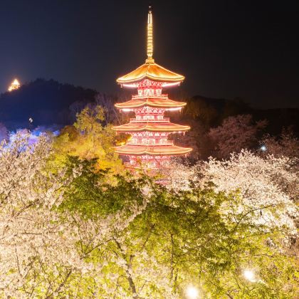 武汉+黄鹤楼+东湖生态旅游风景区3日2晚私家团 武汉+黄鹤楼+东湖生态旅游风景区3日2晚私家团
