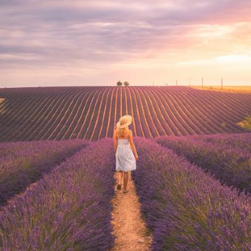 法国普罗旺斯-阿尔卑斯-蓝色海岸大区+摩纳哥城+尼斯+芒通6日5晚跟团游 法国普罗旺斯-阿尔卑斯-蓝色海岸大区+摩纳哥城+尼斯+芒通6日5晚跟团游