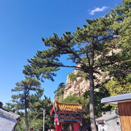 辽沈战役纪念馆+锦州市博物馆+古塔公园+古塔夜市+青岩寺风景区+大芦花景区+布达拉宫广场+九华山公园3日3晚私家团 辽沈战役纪念馆+锦州市博物馆+古塔公园+古塔夜市+青岩寺风景区+大芦花景区+布达拉宫广场+九华山公园3日3晚私家团