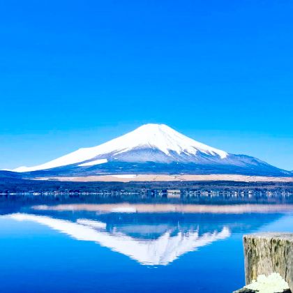日本东京+箱根+大阪+京都8日7晚私家团 日本东京+箱根+大阪+京都8日7晚私家团