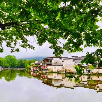 黄山风景区+婺源篁岭景区+宏村景区+黟县西递5日4晚自由行 黄山风景区+婺源篁岭景区+宏村景区+黟县西递5日4晚自由行