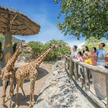 越南胡志明市+美奈+大叻+芽庄+河内+下龙湾9日8晚私家团 越南胡志明市+美奈+大叻+芽庄+河内+下龙湾9日8晚私家团