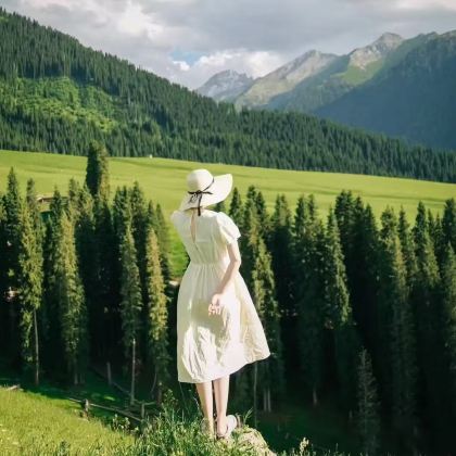 中国新疆乌鲁木齐新疆国际大巴扎那拉提7日6晚跟团游 中国新疆乌鲁木齐新疆国际大巴扎那拉提7日6晚跟团游