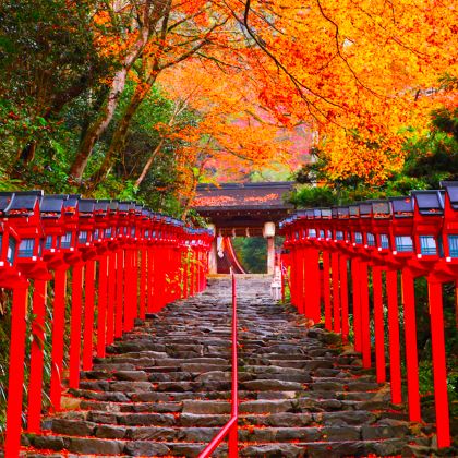 日本京都+大阪8日7晚自由行 日本京都+大阪8日7晚自由行