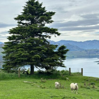 新西兰+澳大利亚15日14晚私家团 新西兰+澳大利亚15日14晚私家团