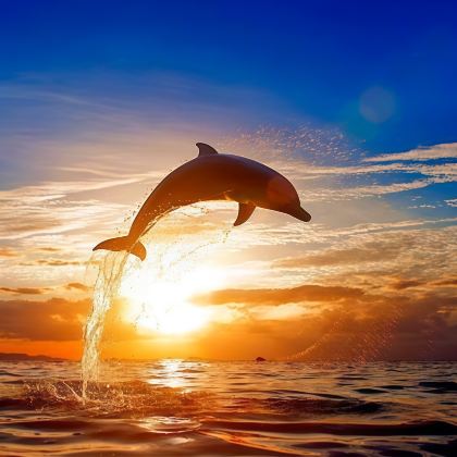 澳大利亚悉尼+圣灵群岛+汉密尔顿岛+心形礁+黄金海岸11日9晚跟团游 澳大利亚悉尼+圣灵群岛+汉密尔顿岛+心形礁+黄金海岸11日9晚跟团游