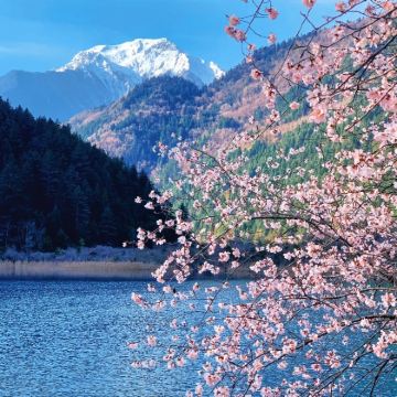 成都+九寨沟+黄龙风景名胜区+都江堰+三星堆博物馆6日5晚私家团 成都+九寨沟+黄龙风景名胜区+都江堰+三星堆博物馆6日5晚私家团