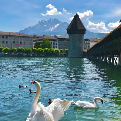 图卢兹7日6晚私家团 图卢兹7日6晚私家团