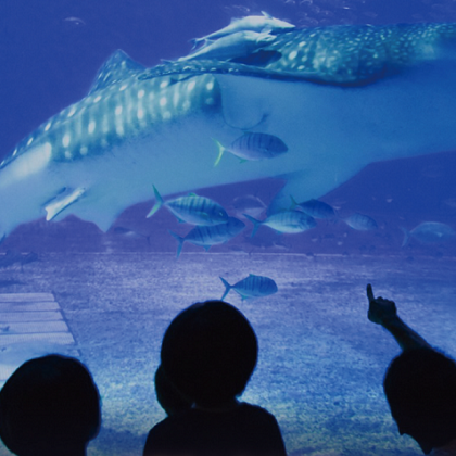 日本冲绳县4日3晚自由行 日本冲绳县4日3晚自由行