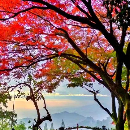 湖州+莫干山风景名胜区3日2晚自由行 湖州+莫干山风景名胜区3日2晚自由行