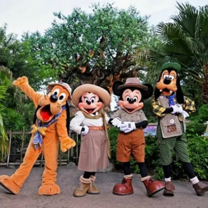 美国东部+奥兰多环球影城+华特迪士尼世界14日跟团游 美国东部+奥兰多环球影城+华特迪士尼世界14日跟团游