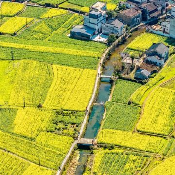 江西望仙谷+三清山风景区+婺源篁岭景区3日2晚私家团 江西望仙谷+三清山风景区+婺源篁岭景区3日2晚私家团