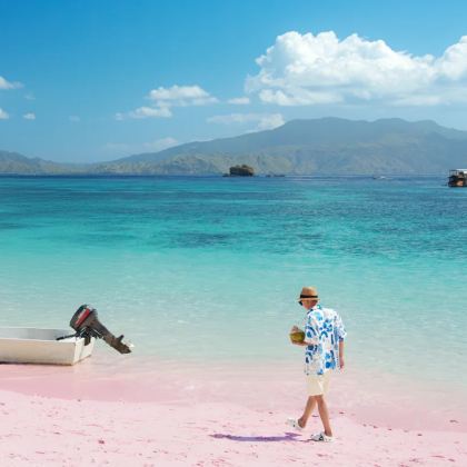 印度尼西亚巴厘岛+科莫多+泗水8日7晚私家团 印度尼西亚巴厘岛+科莫多+泗水8日7晚私家团