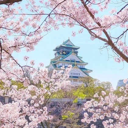 日本名古屋+高山市+下吕市5日4晚私家团 日本名古屋+高山市+下吕市5日4晚私家团