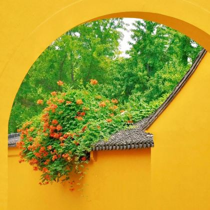 苏州博物馆+拙政园+同里古镇+无锡禅意小镇·拈花湾+无锡市太湖鼋头渚风景区5日4晚私家团 苏州博物馆+拙政园+同里古镇+无锡禅意小镇·拈花湾+无锡市太湖鼋头渚风景区5日4晚私家团