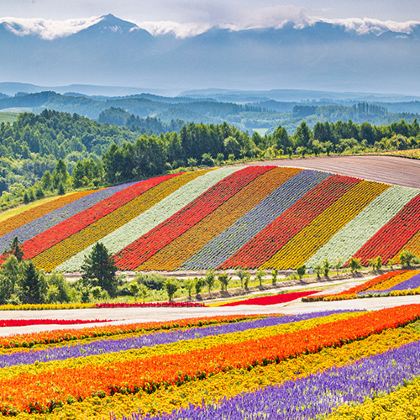 日本北海道6日5晚拼小团 日本北海道6日5晚拼小团