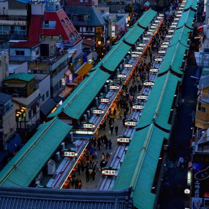 日本东京+伊豆市6日5晚私家团 日本东京+伊豆市6日5晚私家团