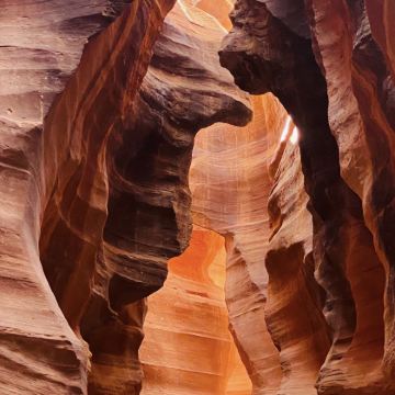 美国洛杉矶+拉斯维加斯9日8晚私家团 美国洛杉矶+拉斯维加斯9日8晚私家团