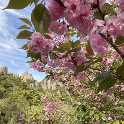 霞浦+下尾岛+东壁+东海一号观光步道+太姥山+杨家溪5日4晚私家团 霞浦+下尾岛+东壁+东海一号观光步道+太姥山+杨家溪5日4晚私家团