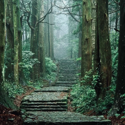 日本熊野市+熊野古道+継桜王子+熊野本宫大社+近露王子+青岸渡寺+熊野古道中边路7日6晚跟团游 日本熊野市+熊野古道+継桜王子+熊野本宫大社+近露王子+青岸渡寺+熊野古道中边路7日6晚跟团游