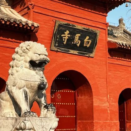 洛阳+老君山景区+龙门石窟+白马寺+登封嵩山少林景区4日3晚私家团 洛阳+老君山景区+龙门石窟+白马寺+登封嵩山少林景区4日3晚私家团