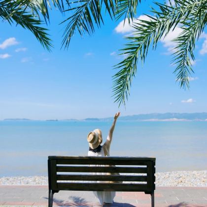 厦门+鼓浪屿+福建土楼5日4晚跟团游 厦门+鼓浪屿+福建土楼5日4晚跟团游