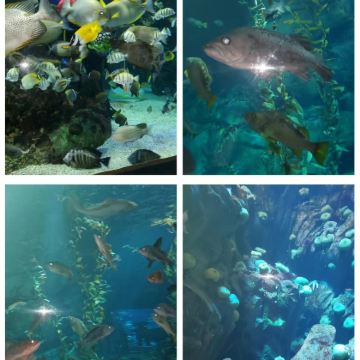 加拿大温哥华+多伦多8日7晚私家团 加拿大温哥华+多伦多8日7晚私家团