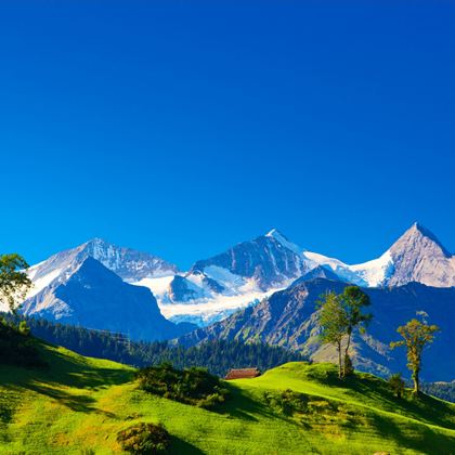 德国+法国+意大利+瑞士12日跟团游 德国+法国+意大利+瑞士12日跟团游