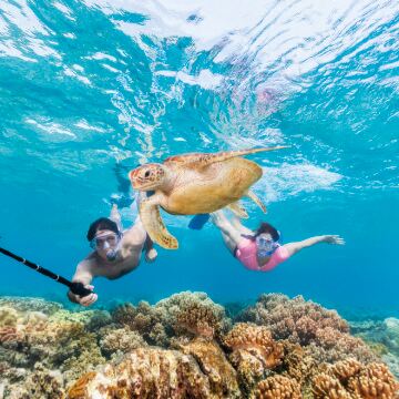 澳大利亚+新西兰17日14晚跟团游 澳大利亚+新西兰17日14晚跟团游