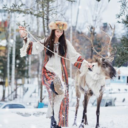 哈尔滨+雪乡5日4晚跟团游 哈尔滨+雪乡5日4晚跟团游
