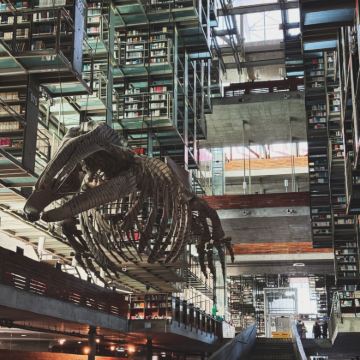 墨西哥墨西哥城+霍奇米尔科+特奥蒂瓦坎+莫雷利亚6日5晚私家团 墨西哥墨西哥城+霍奇米尔科+特奥蒂瓦坎+莫雷利亚6日5晚私家团