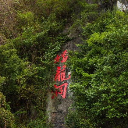 蟠龙洞+国恩寺+藏佛坑2日1晚私家团 蟠龙洞+国恩寺+藏佛坑2日1晚私家团