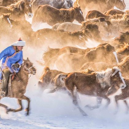 承德+乌兰布统+木兰围场+坝上5日4晚私家团 承德+乌兰布统+木兰围场+坝上5日4晚私家团