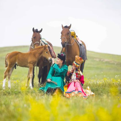 中国内蒙古锡林郭勒盟锡林郭勒盟草原+锡盟西乌旗乌兰五台景区+阿斯哈图石林景区+达里湖+锡林郭勒盟(柳兰沟)+平顶山火山群6日5晚拼小团 中国内蒙古锡林郭勒盟锡林郭勒盟草原+锡盟西乌旗乌兰五台景区+阿斯哈图石林景区+达里湖+锡林郭勒盟(柳兰沟)+平顶山火山群6日5晚拼小团