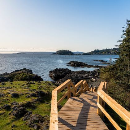 加拿大+Neck Point Park+Goats on the Roof+Amphitrite Point Lighthouse+MacMillan Provincial Park+Little Qualicum Cheeseworks+Long Beach3日2晚跟团游 加拿大+Neck Point Park+Goats on the Roof+Amphitrite Point Lighthouse+MacMillan Provincial Park+Little Qualicum Cheeseworks+Long Beach3日2晚跟团游