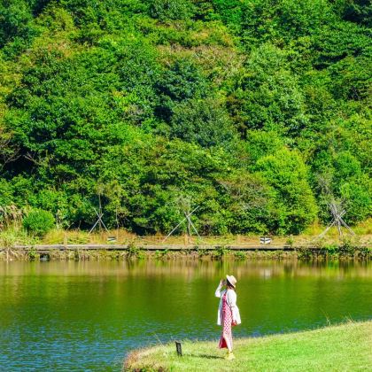 广西玉林+云天文化城+大容山国家森林公园+都峤山风景区4日3晚私家团 广西玉林+云天文化城+大容山国家森林公园+都峤山风景区4日3晚私家团