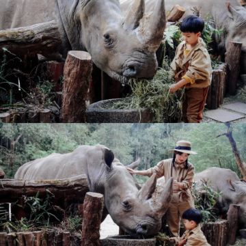 普洱+西双版纳4日3晚私家团 普洱+西双版纳4日3晚私家团