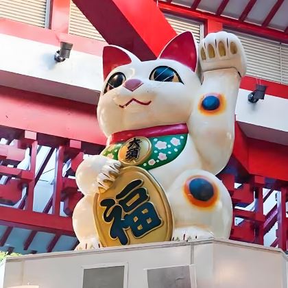 日本东京+轻井泽町+高山村+白川村+名古屋7日6晚拼小团 日本东京+轻井泽町+高山村+白川村+名古屋7日6晚拼小团
