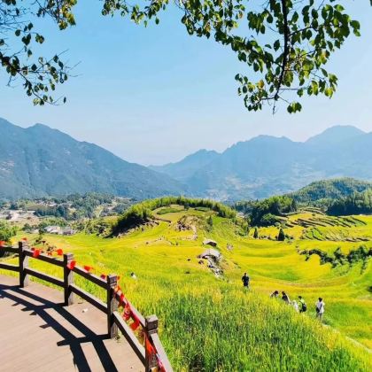 丽水+松阳+古堰画乡旅游度假区+云和梯田景区+刘伯温故里景区·百丈漈4日3晚私家团 丽水+松阳+古堰画乡旅游度假区+云和梯田景区+刘伯温故里景区·百丈漈4日3晚私家团